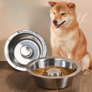 Pet Slow Food Stainless Steel Bowl And Tableware
