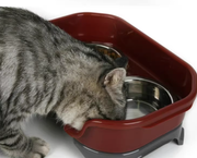 Pet food bowl