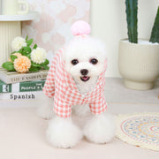 Colorful Four-legged Pet Coat for Warmth in Autumn/Winter