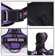 Oxford Cloth Strap Personalized Dog Back